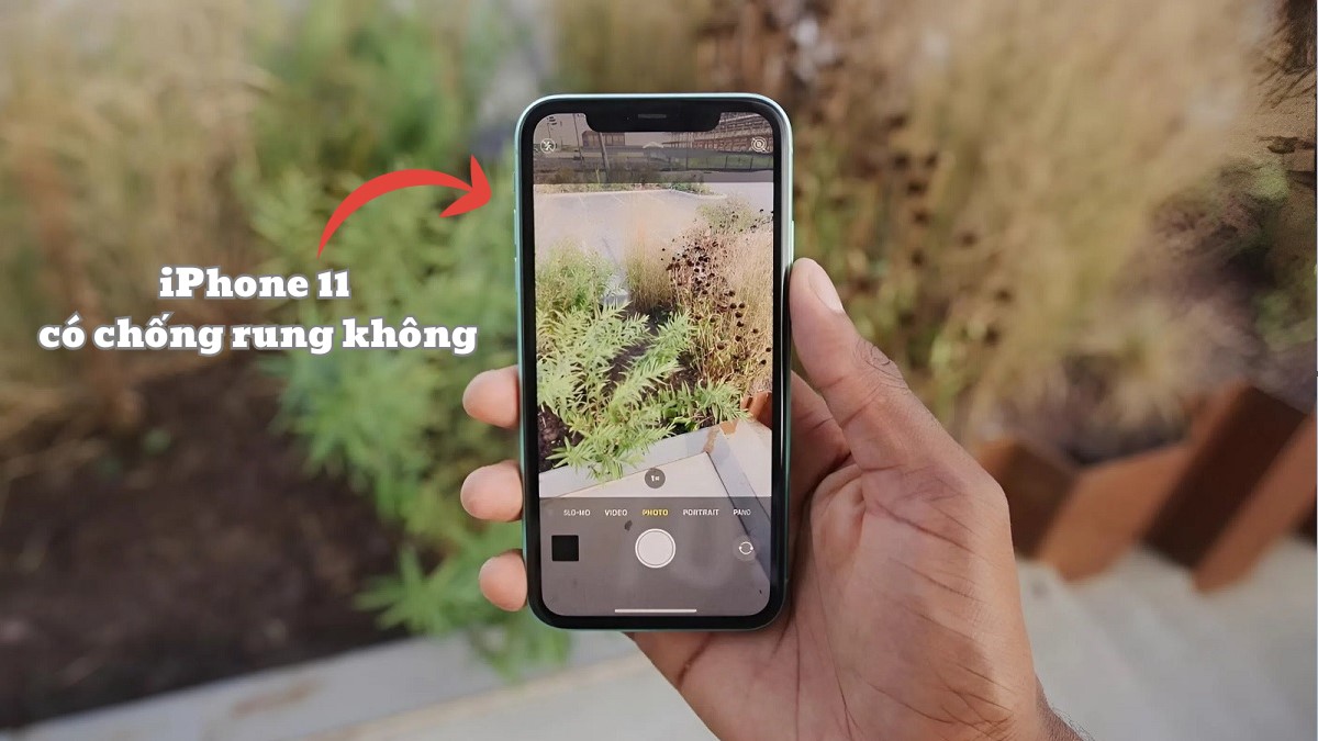 Camera iPhone 11 có chống rung không? Khám phá thông số chi tiết